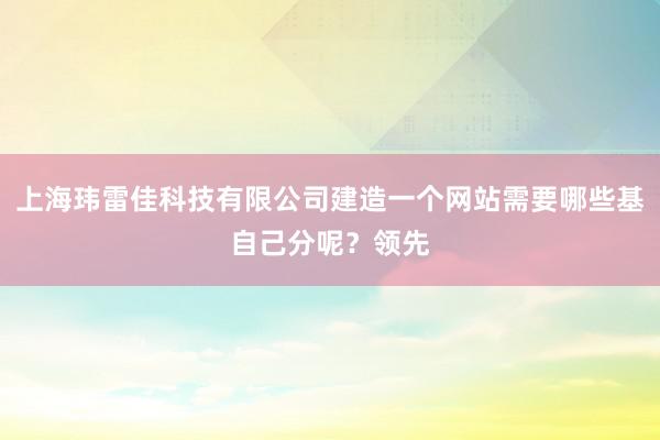 上海玮雷佳科技有限公司建造一个网站需要哪些基自己分呢？领先